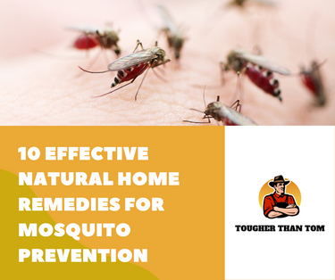 10 Effective Natural Home Remedies for Mosquito Prevention